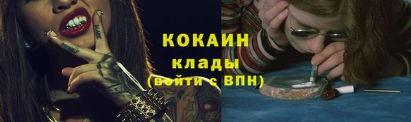 хмурый Вяземский