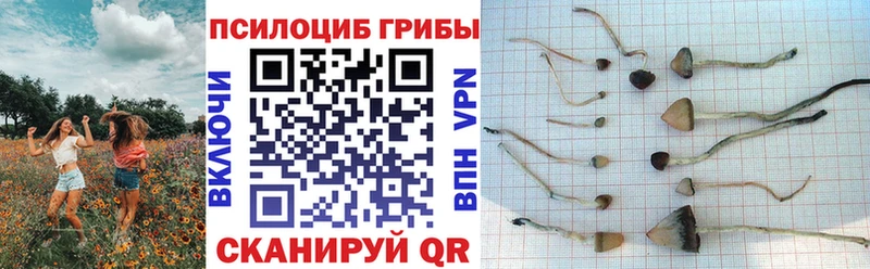 Псилоцибиновые грибы Magic Shrooms  мориарти телеграм  Медвежьегорск 